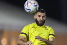 Number of Benzema goals during his career