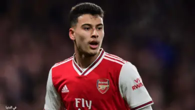 عدد أهداف جابرييل مارتينيلي في مسيرته