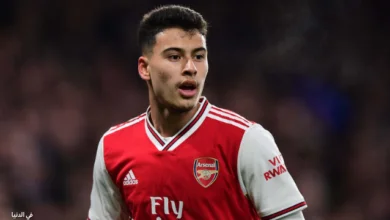 عدد أهداف جابرييل مارتينيلي في مسيرته